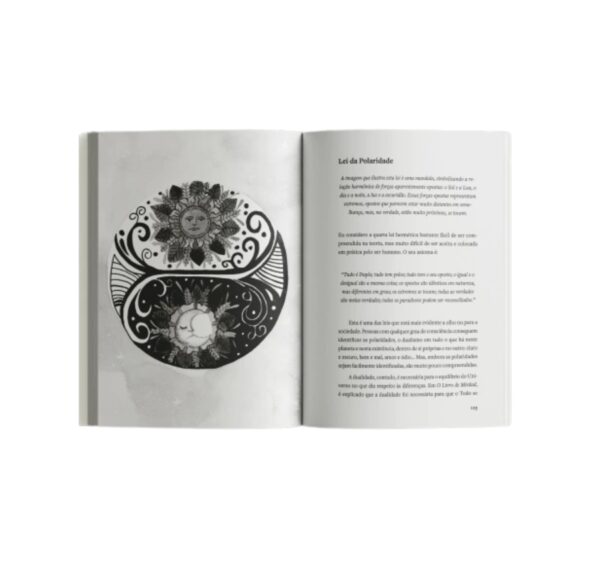 O Manual do alquimista moderno - Image 2